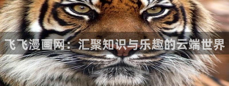 魔女的逆袭漫画下拉式奇漫屋：飞飞漫画网：汇聚知识与乐趣的云端世界